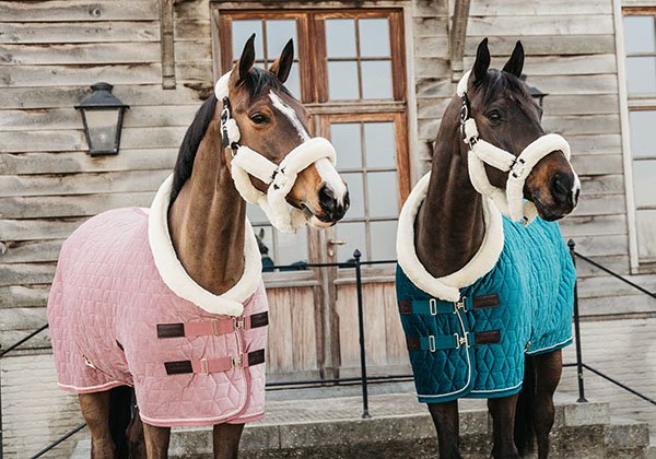 乗馬用品店レクシア | 種類別のかわいい馬着特集【2022最新版】