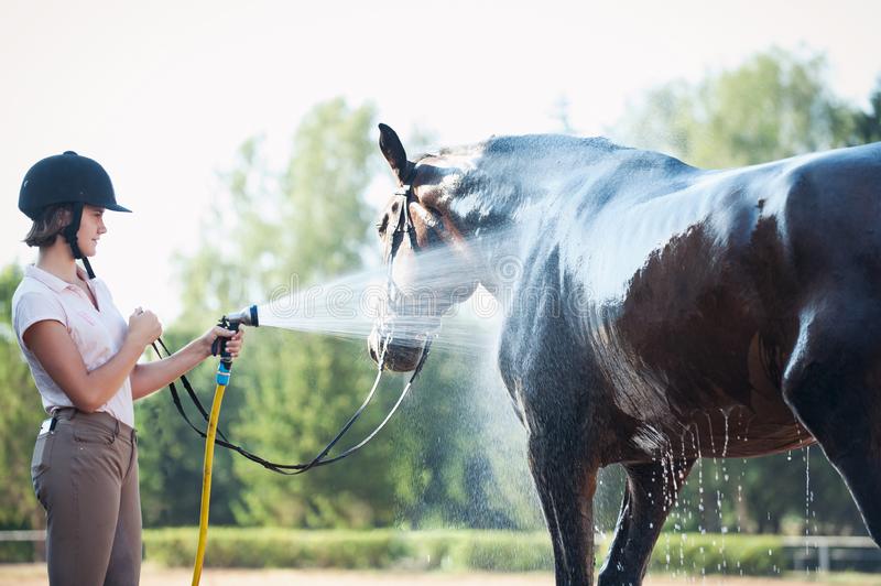 乗馬用品店レクシア | 人馬ともに夏を涼しく乗り切る。納涼対策とオススメ乗馬グッズを紹介