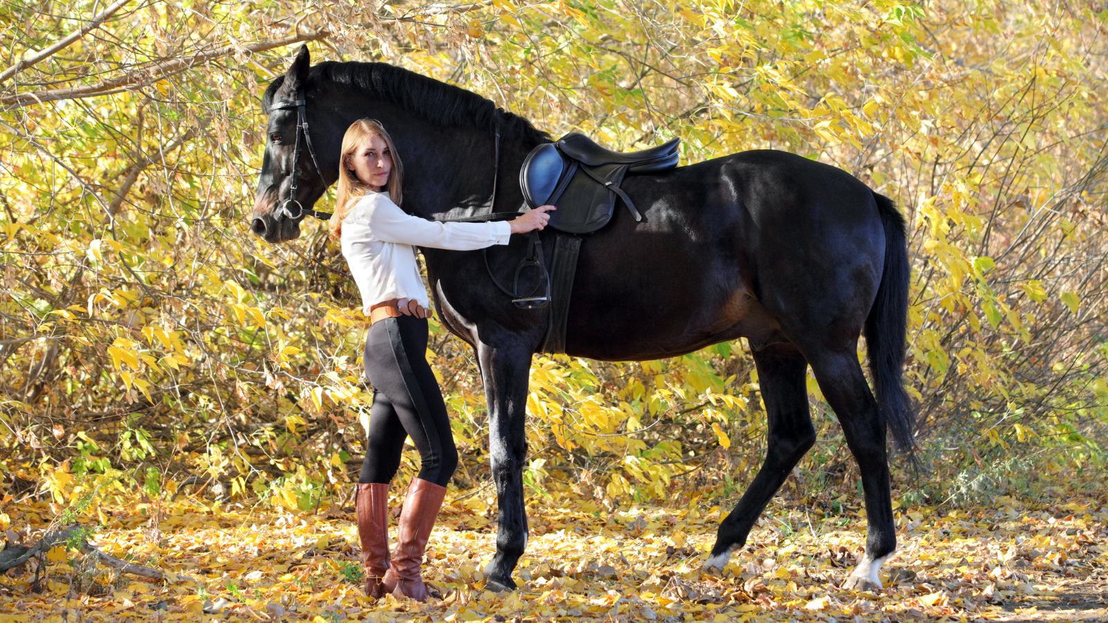 馬メディアレクシア | 運動神経は関係なし！乗馬に向いている人の性格とは【乗馬初心者向け】