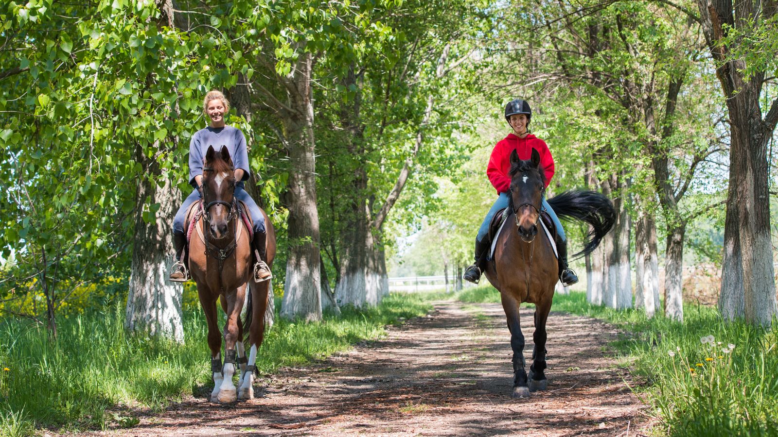 馬メディアレクシア | 大人女性におすすめしたいレディース乗馬ブランドまとめ【2022最新】