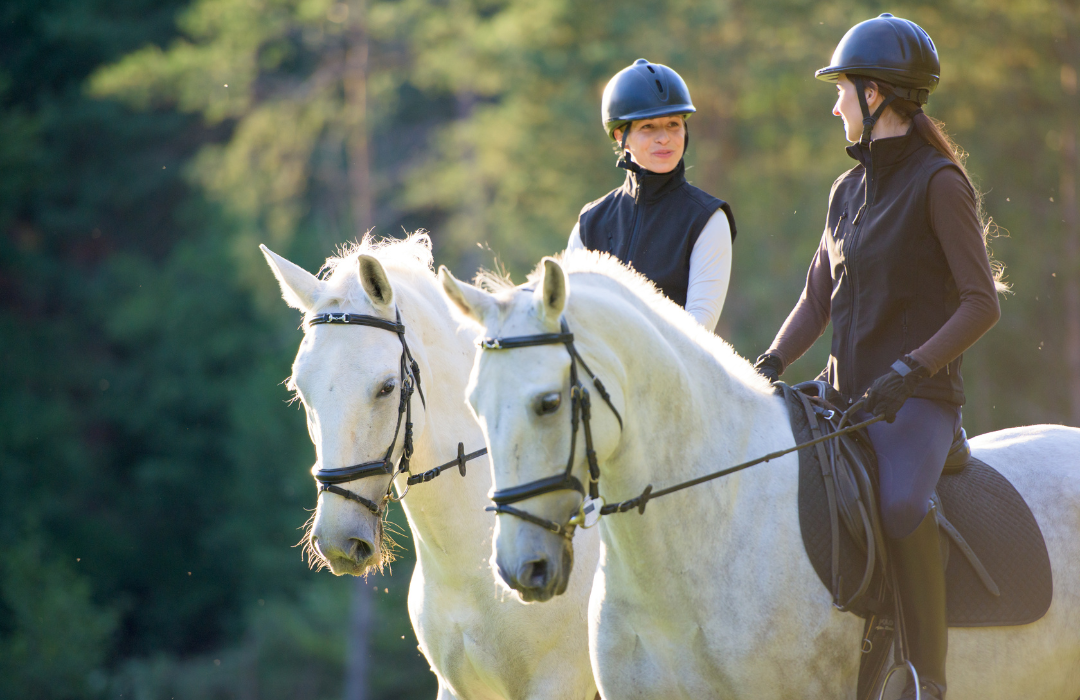 乗馬用品店レクシア | 子どもに乗馬を習わせる時に親が知っておくべきこと