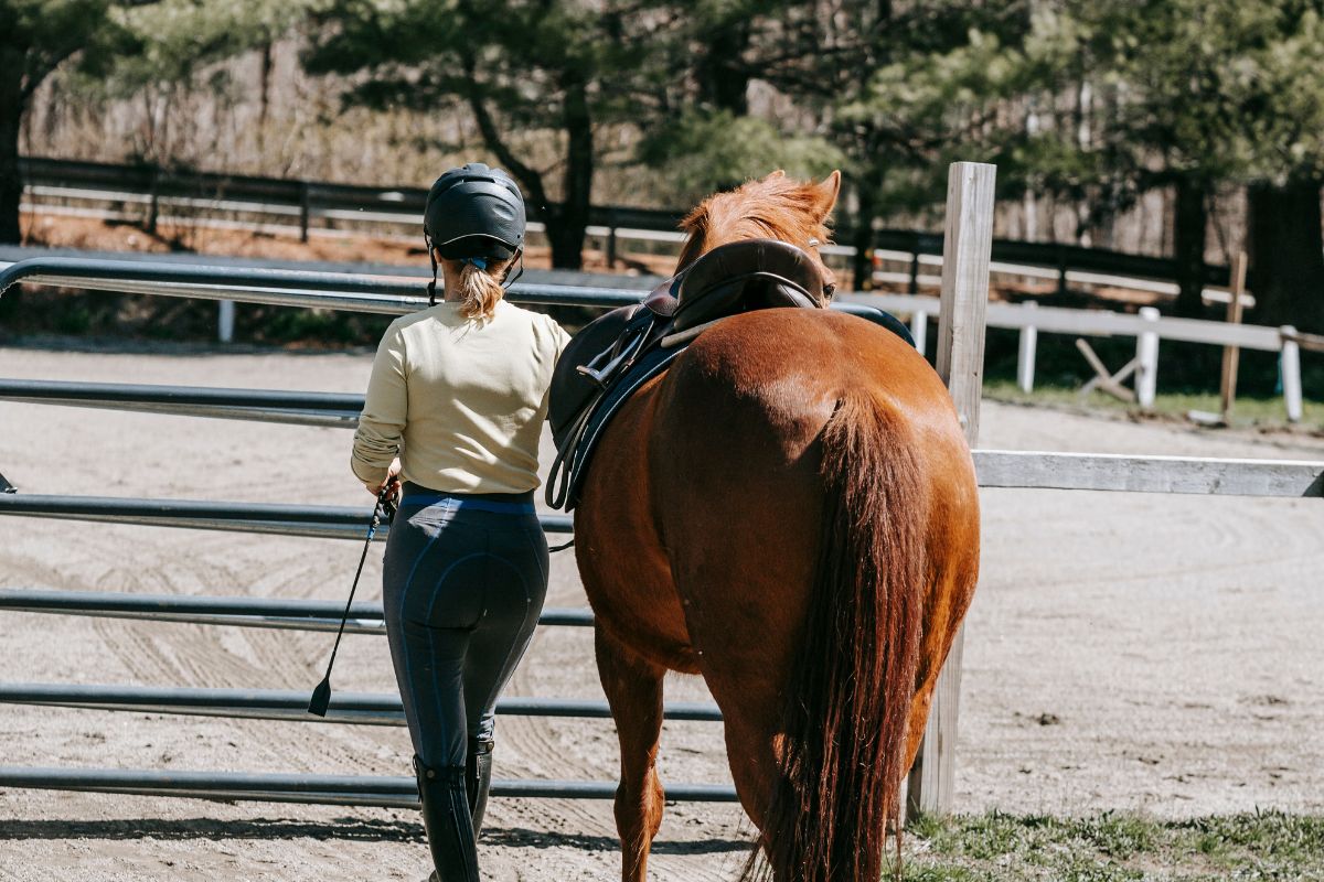 馬メディアレクシア | 子どもに乗馬を習わせる時に親が知っておくべきこと