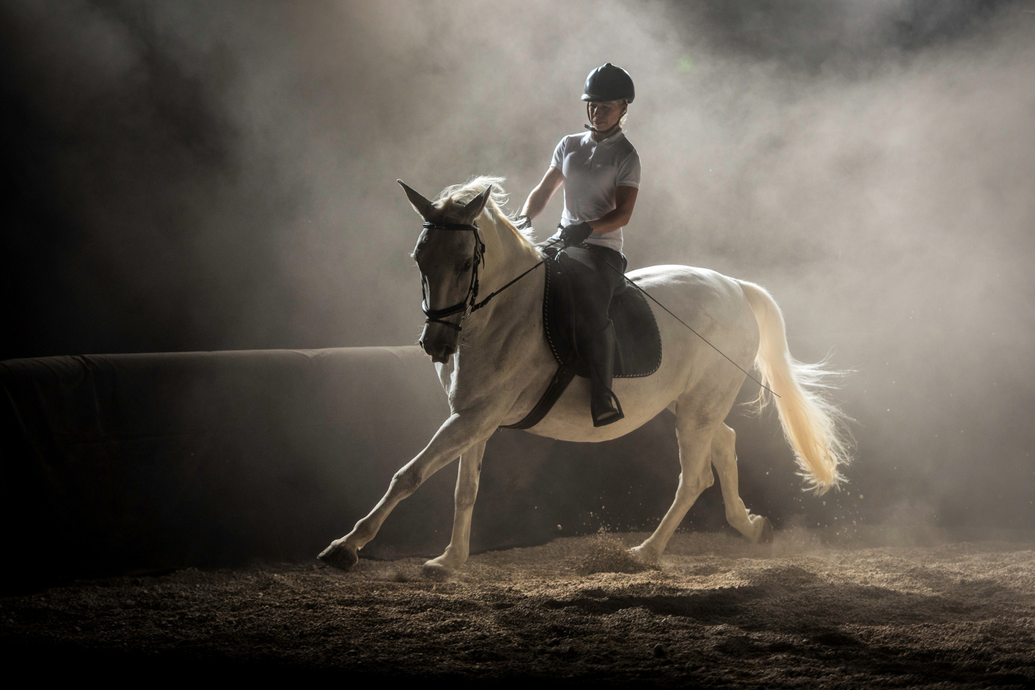 馬メディアレクシア | 高所得者層の習い事に乗馬をおすすめする9つの理由
