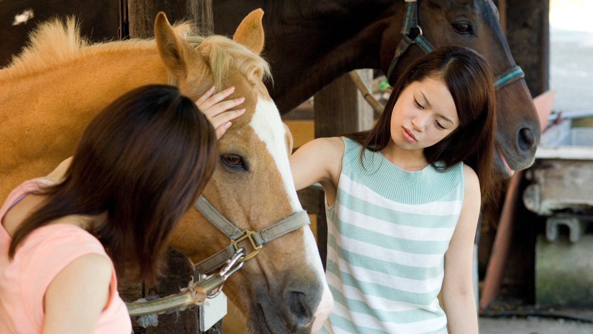 馬メディアレクシア | 競馬場デートはあり？女性目線でおすすめコースと注意点を解説